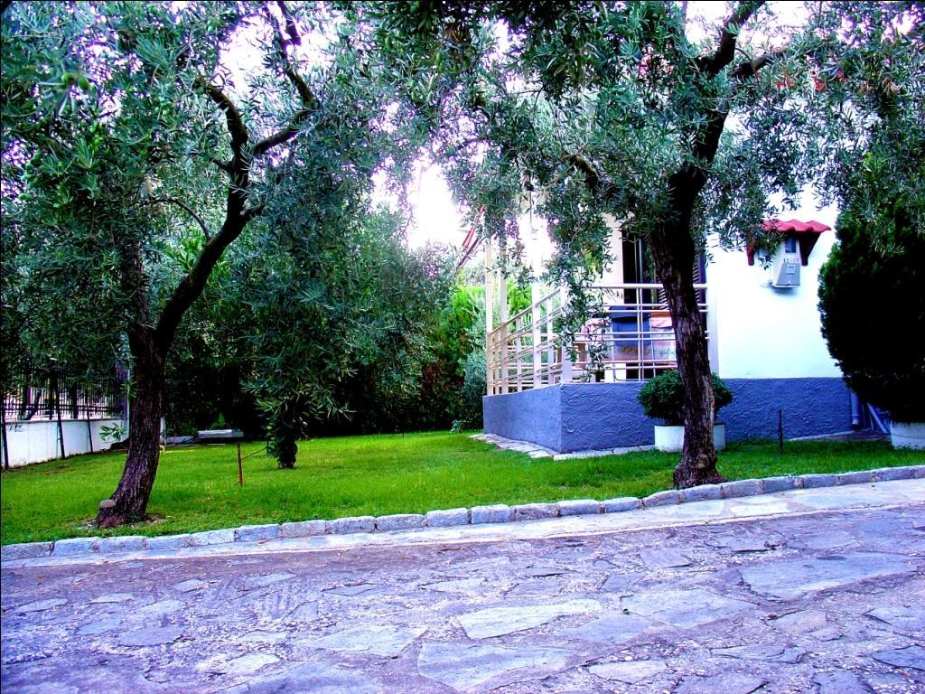 Dimos Bungalows PalaiónTsiflíkion Rom bilde